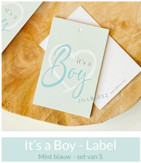 LABEL - IT'S A BOY - MINT / BLAUW - 10 STUKS